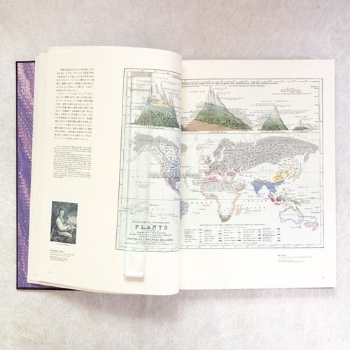 Orchid Illustrations 19th century Extinct Species Natural History Deluxe Edition - Bild 9 von 14