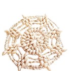 Vintage Sea Shell Trivet Hot Pad Doily Wall Art Beach Cottage Kitchen