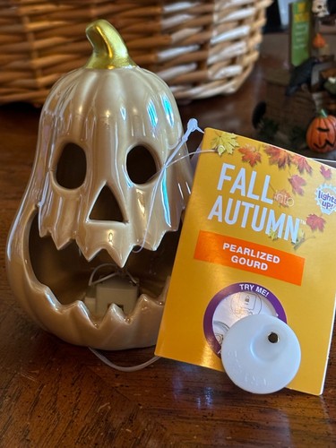 HALLOWEEN HERBST HERBST PERLMUTT KÜRBIS LEUCHTET, NEU.