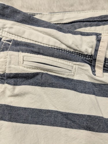 American Eagle Extreme Flex pantaloncino chino a righe uomo W30 blu bianco - Foto 4 di 9