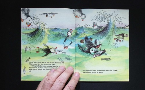 Patricia Drew – Spotter Puff – Signed Puffin Picture Book – Rare Collectible - Picture 6 of 6