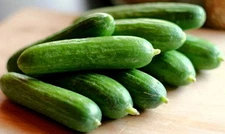 Cucumber Seeds, Spacemaster 80, Non-Gmo Heirloom Seeds, Dwarf Cucumbers, 75ct