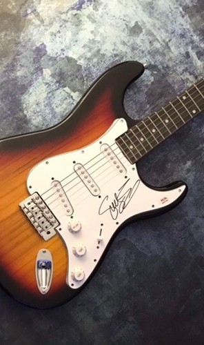 Chanteur du groupe PSA Godsmack * SULLY ERNA * guitare électrique signée PREUVE COA - Photo 5 sur 8