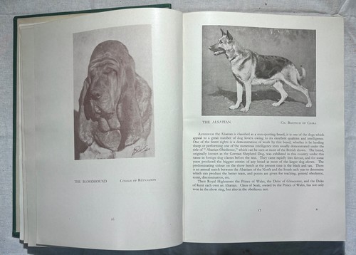 1936 The Book Of Dogs Hardcover Stanley West Hounds Bulldog Terriers Spaniels - Picture 7 of 17