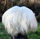 Bild 8 von 10