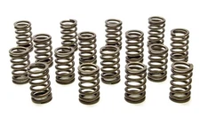 PAC Racing PAC-1210X-16 1.245 Single Valve Springs - RPM Series (16