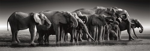 NEW Clementoni Panorama Jigsaw Puzzle 1000 Pieces 39895 Herd Of Giants - Imagen 2 de 2