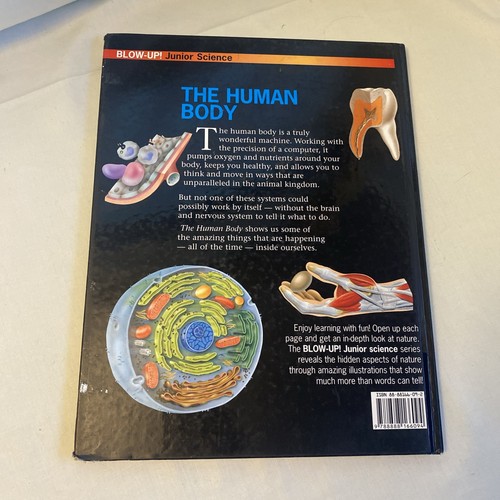 The Human Body (Blow-Up! Junior Science) [ILLUSTRATED] Hardcover - Picture 4 of 7