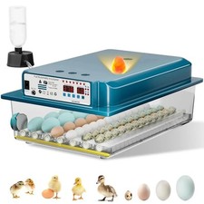 Incubators for Hatching 36 Eggs with Automatic Egg Turning and Humidity