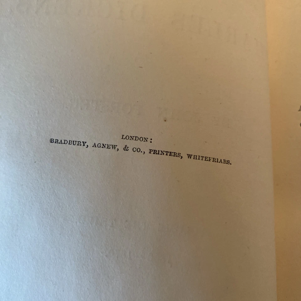 The Life Of Charles Dickens, Forster Volume 3 Only Circa 1874 Victorian Binding - Image 4 of 4