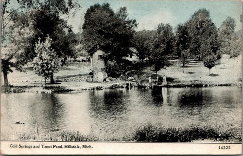 Hillsdale Michigan~Cold Springs @ Trout Pool~Tower~Kids on Bank~1911 CU Williams - Bild 1 von 2