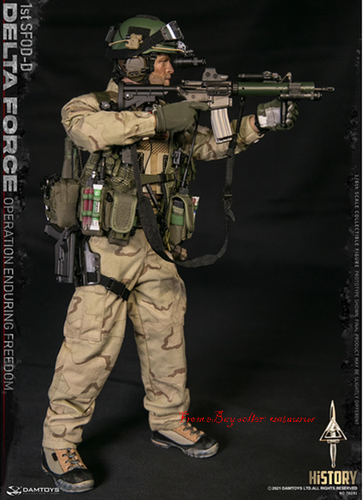 Perfect Damtoys 1/6 78091 Delta Forte 1st Sfod-D Operation Enduring Ferrdom New - Picture 7 of 16