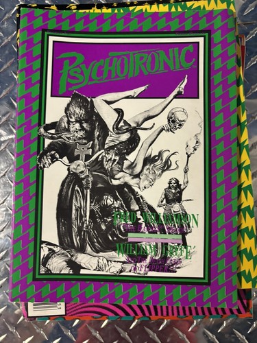 Lot Of 21 Issues Of Psychotronic Magazine  - Picture 3 of 20
