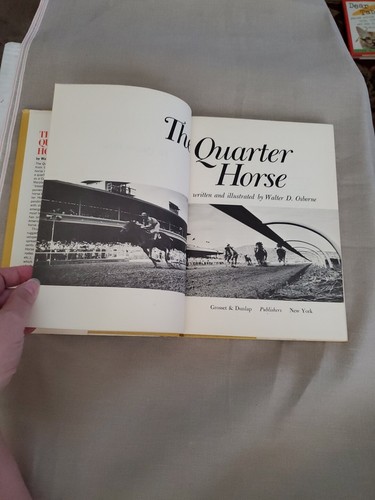 THE QUARTER HORSE - Walter D. Osborne, (HCDJ, 1967 vintage hardcover) - Picture 7 of 13