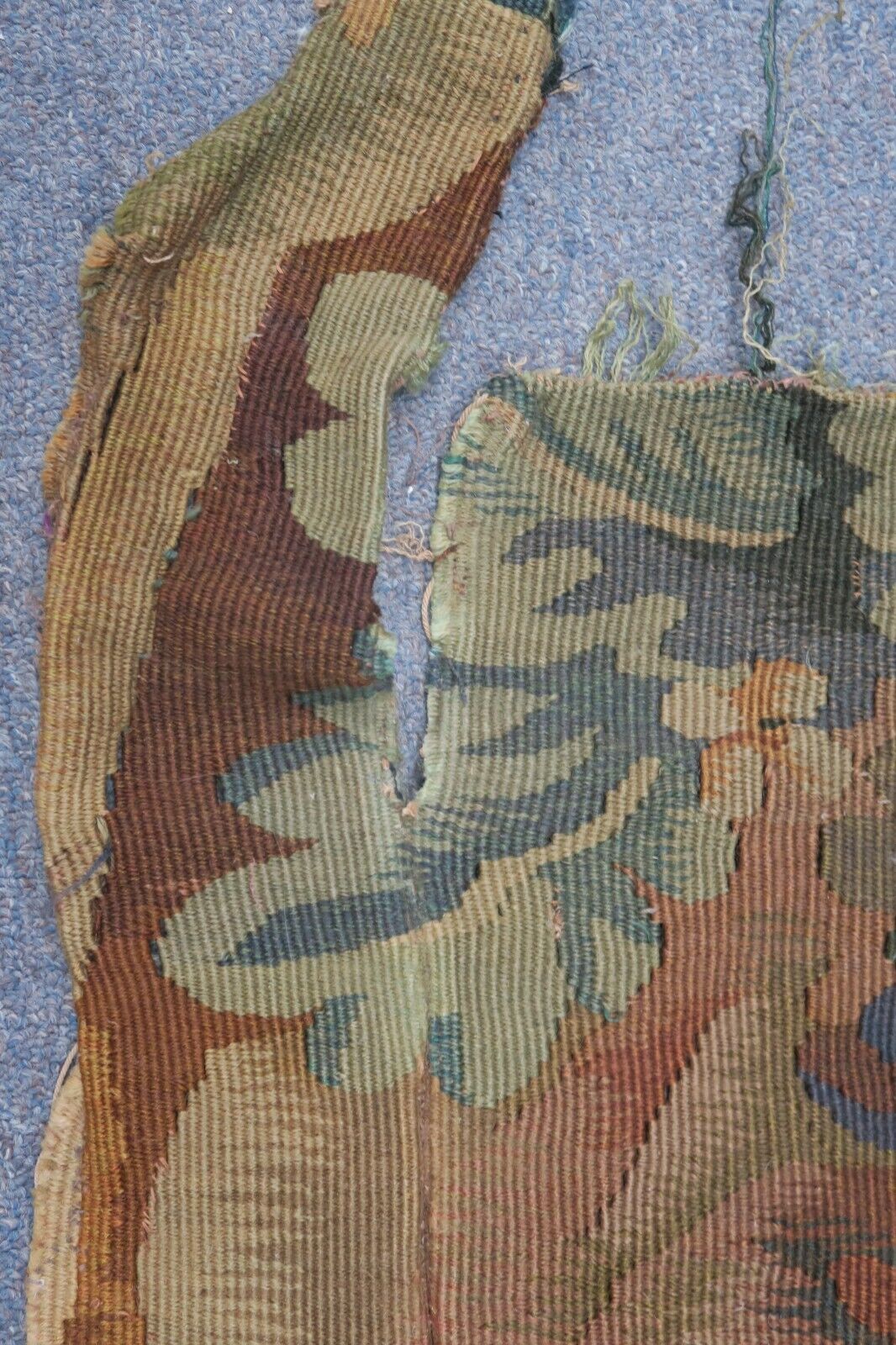 Picture 13 of 19