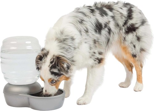 Petmate Replendish Gravity Pet Waterer with Microban for Cats and Dogs,0.5Gallon - Picture 7 of 10