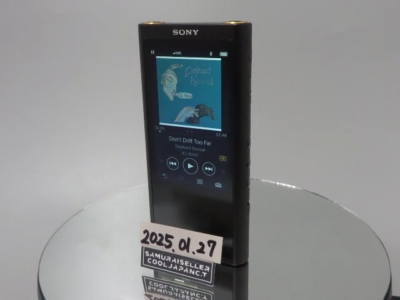 Sony NW-ZX300 Black Hi-Res Walkman 64GB Digital Music Player