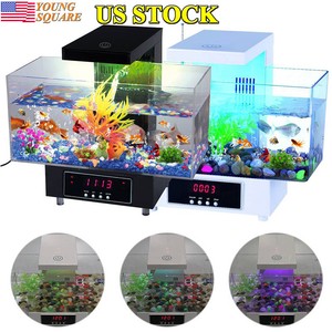 led acrylic betta fish
