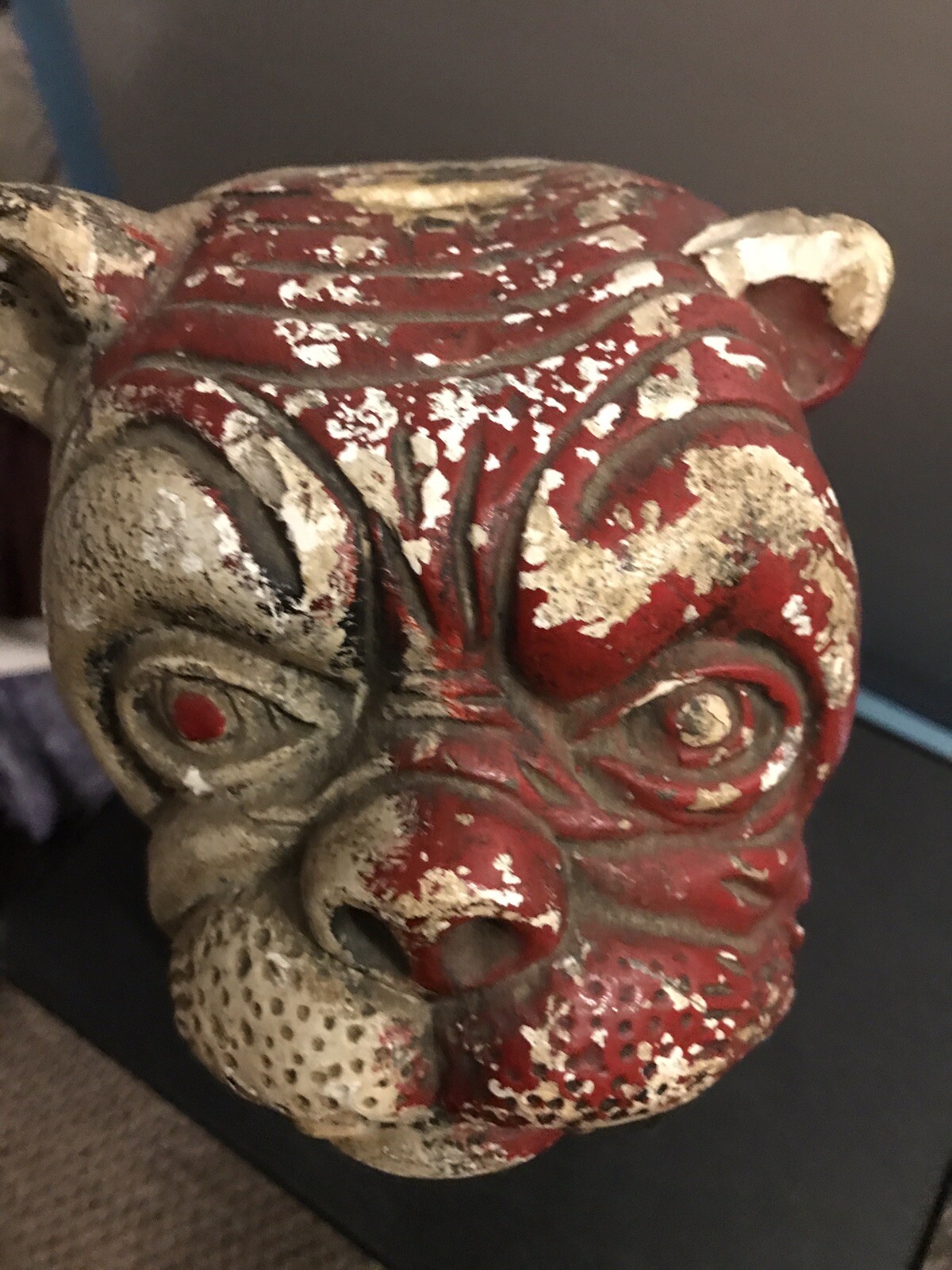 Picture 6 of 24