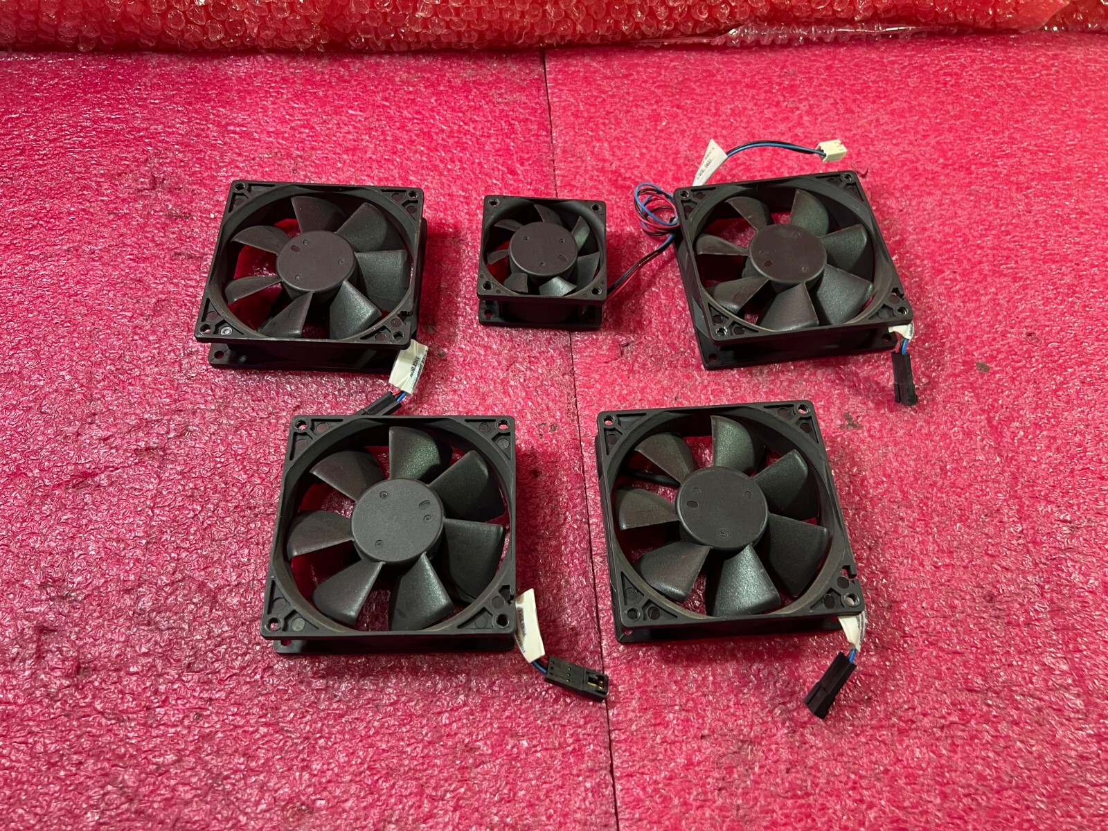 Picture 6 of 6