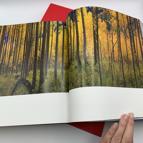 Amerika von Peter Lik limitiertes Hardcover Fotobuch schwarzer Einband rotes Etui - Bild 16 von 22