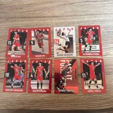 Japanese national volleyball player wafer