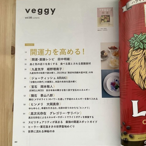Veggy Magazine Vol.86 January 2023 Good Luck Fortune Japanese Issue - Picture 2 of 7