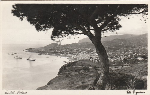 FUNCHAL, MADEIRA, Portugal - Vintage POSTCARD