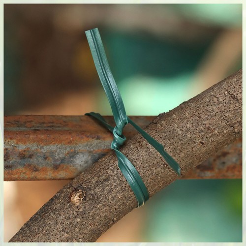 200 piezas Corbata Flexible Jardín Twist Verde Plástico Recubierto Alambre para Plantas - Imagen 3 de 14