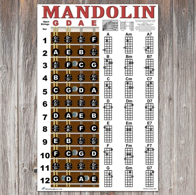 Mandolin Easy Chord Fretboard Chart Poster Notes My XXX Hot Girl