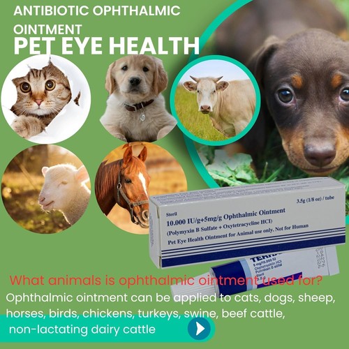 Pet Eye Health Ointment for Dogs, Cats, Cattle, Sheep, Horses, Birds and Pupp... - Picture 4 of 7