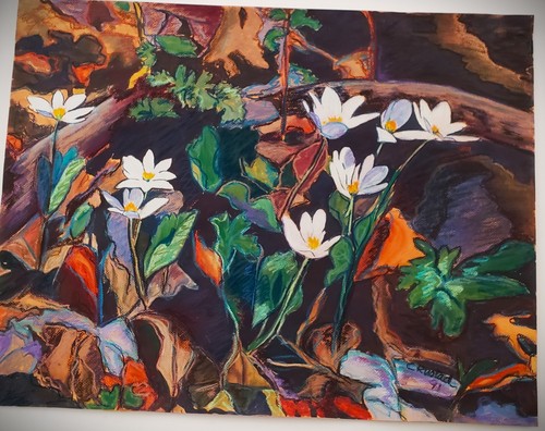 CAROL RUSTAD (1943-2022) Original SIGNED Oil Pastel & Gouache Prairie Flowers - Picture 7 of 8