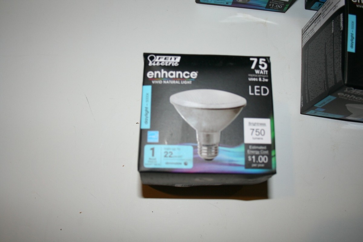 Feit 2024 par30 led