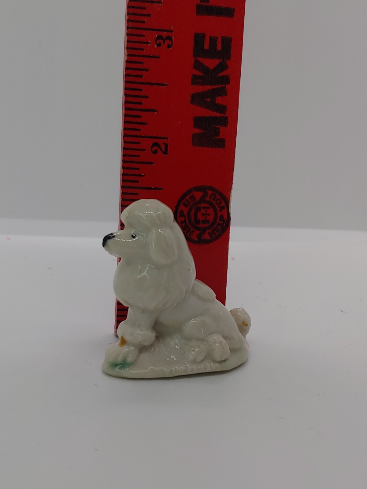 Picture 5 of 5