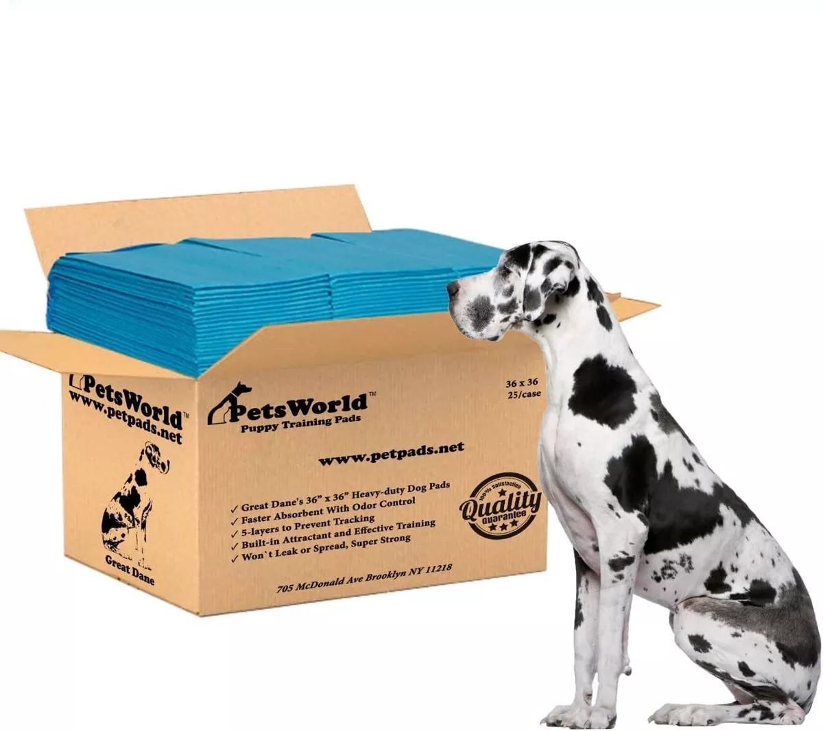 Largest dog cheap pee pads