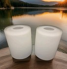 2 Glass Shade frosted Light  5.25"H 1.75"