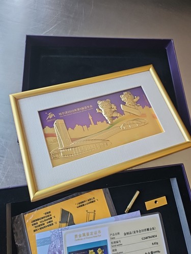 9th Asian Winter Games Harbin 2025 Framed Memorabilia Art READ DESCRIPTION. - Picture 5 of 15