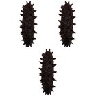 3pcs Simulation Sea Slug Models Artificial Food Models Lifelike Sea Cucumber