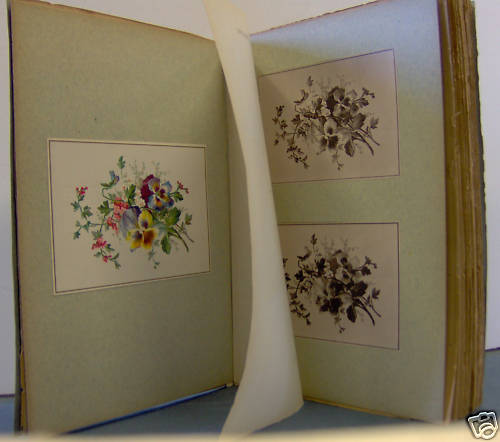 VOGEL/ CHROMO /COLOR PHOTOGRAPHY PHOTO COULEURS 1887 - Imagen 1 de 1
