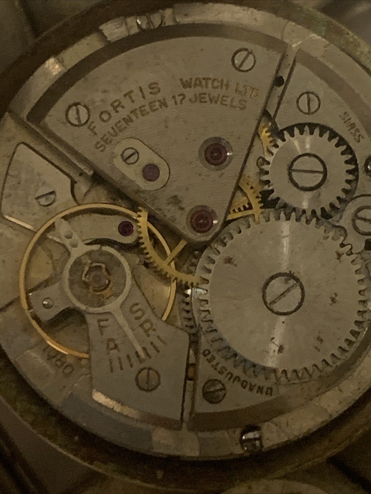 Picture 6 of 7
