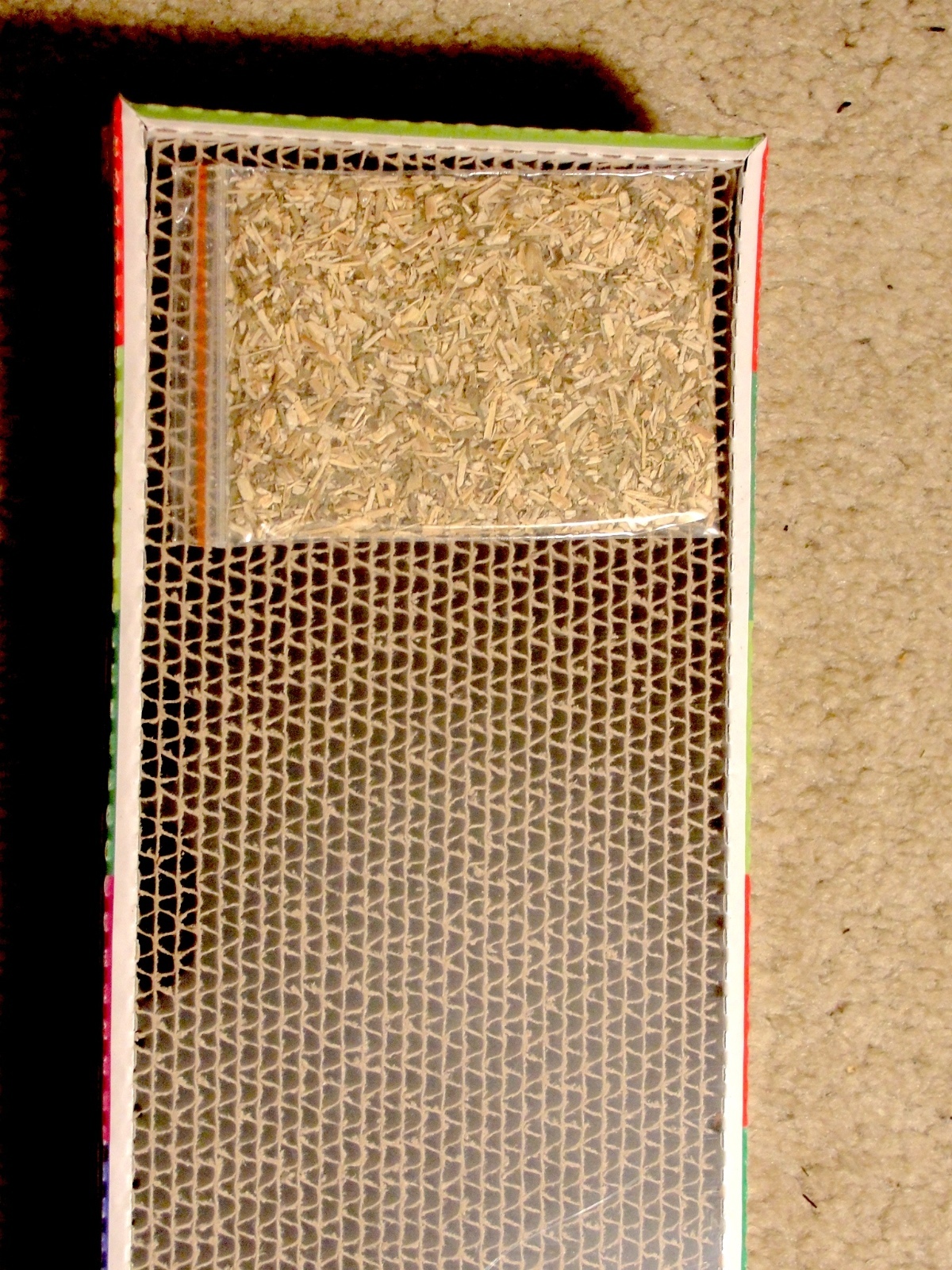Foto 2 di 4