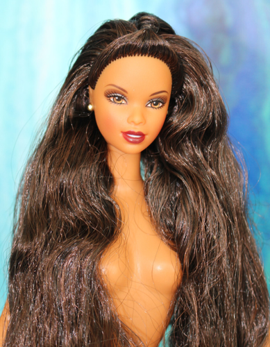 Nude Asha Barbie AA Multiracial Smokey eyes Long Black/Brown Hair TNT DBox4 OOAK - Picture 2 of 10