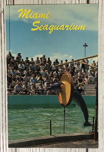 Miami Florida Seaquarium Corky the Porpoise  Dolphin Vintage FL Postcard - Picture 1 of 2