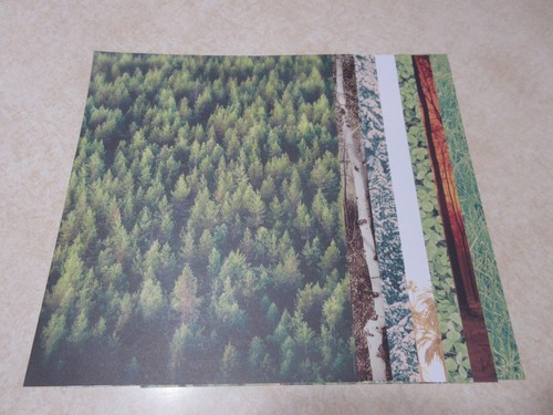 8.5" x 11" PARK LANE PAPER - ASSORTED NATURE PRINTS #2 - 7 SHEETS - Afbeelding 1 van 8