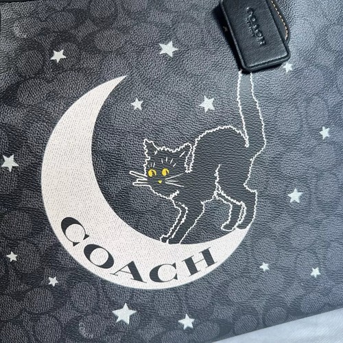 NWT Coach City Tote In Signature Canvas With Halloween print CCE70/CCE69/CW450 - Picture 8 of 61