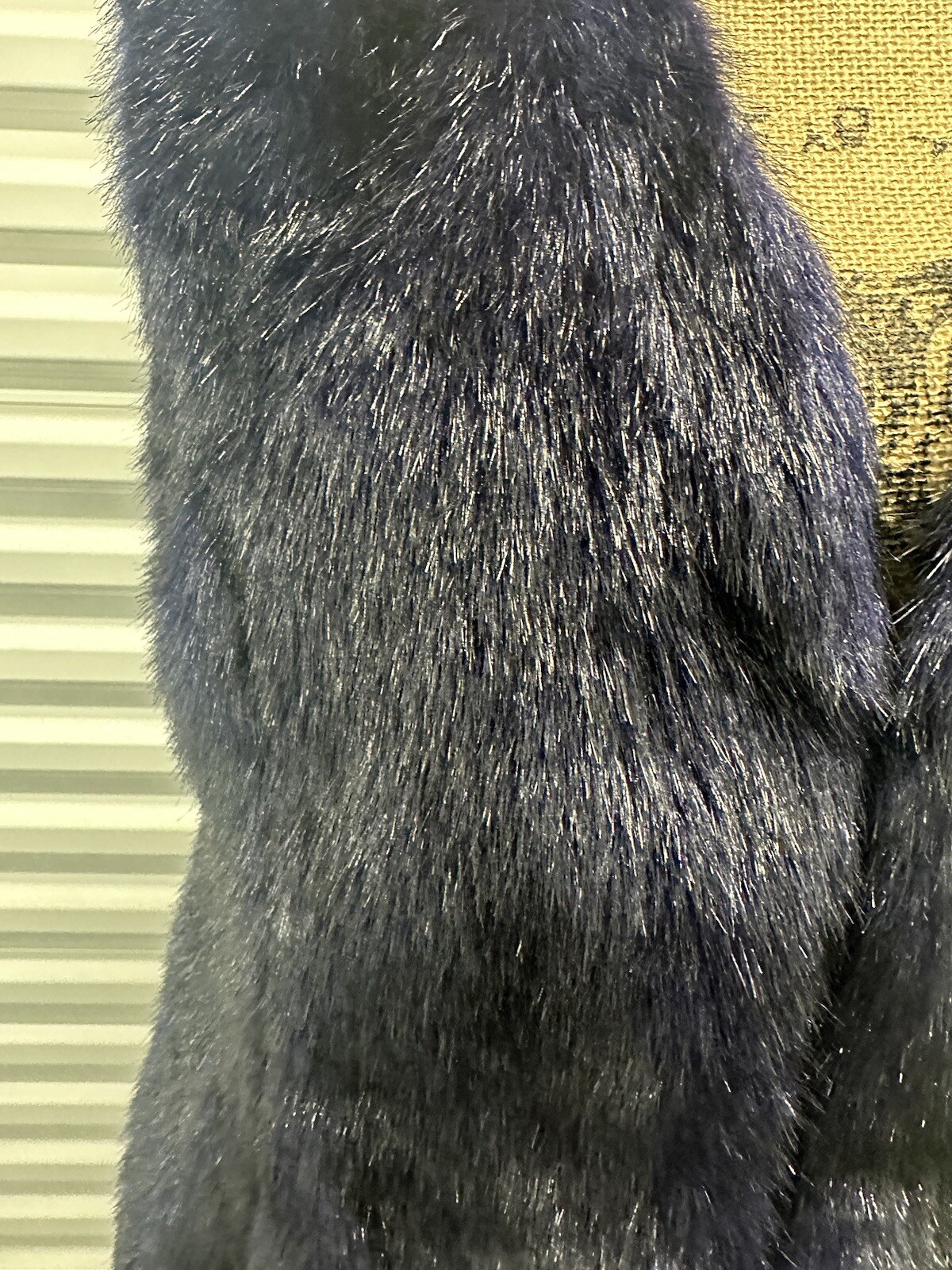 Picture 6 of 7