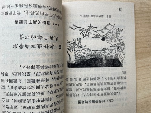 Chinese Militia Booklet Guarder  Patrol  Sentry Vietnam War 1972 Original - Picture 9 of 11