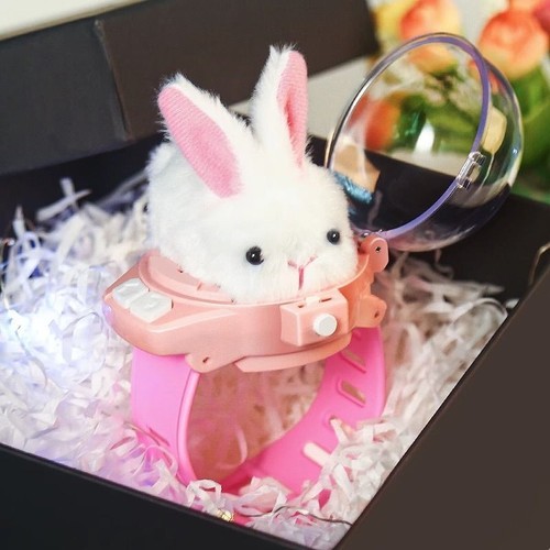 Remote control car for kid boy girl children toy rabbit dog birthday gift - Picture 2 of 18