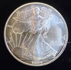 2004 American Eagle Toned Walking Liberty Bullion-0.999 Silver 1 Oz Coin 4h