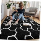  Ultra Soft Area Rug for Bedroom, 4x6 Black and White Geometric Pattern 